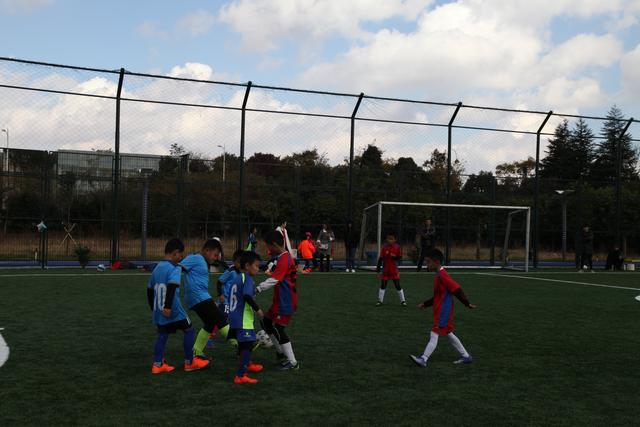 巴黎奥运男篮最佳阵容：库里詹姆斯约基奇入选